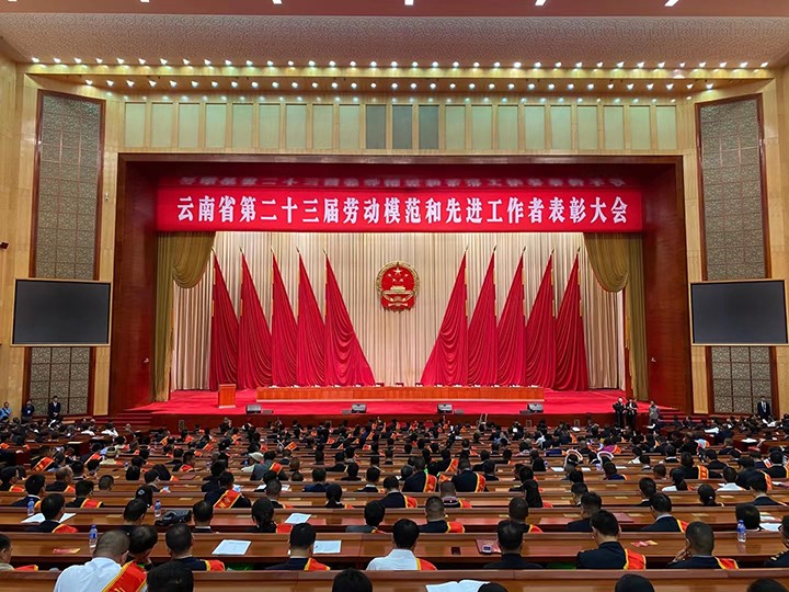 008PG国际