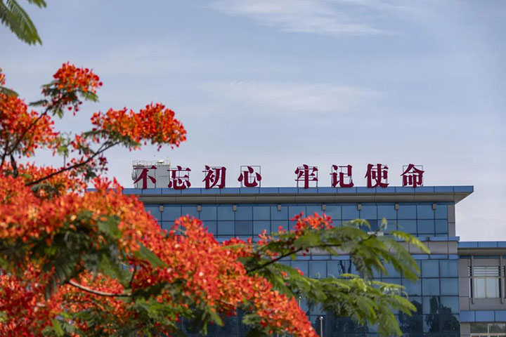 008PG国际