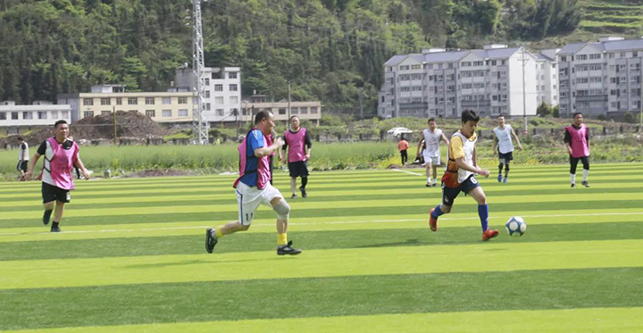 008PG国际