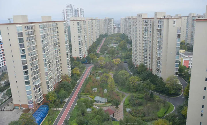 008PG国际