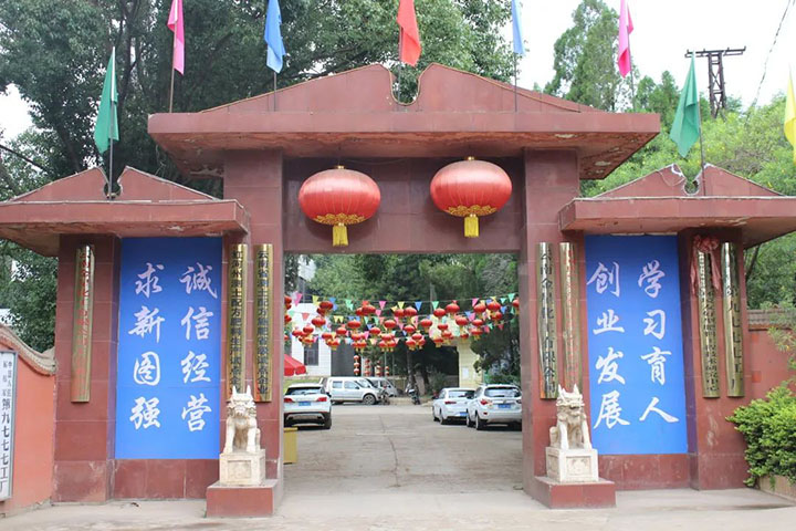008PG国际