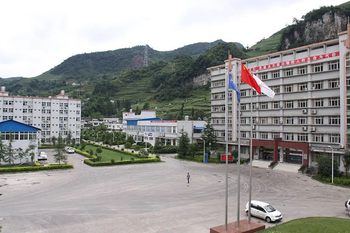 008PG国际