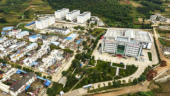 008PG国际