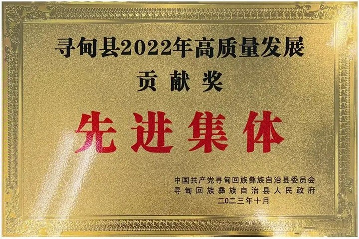 008PG国际